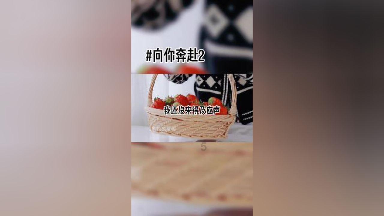 芭比的时尚新娘装