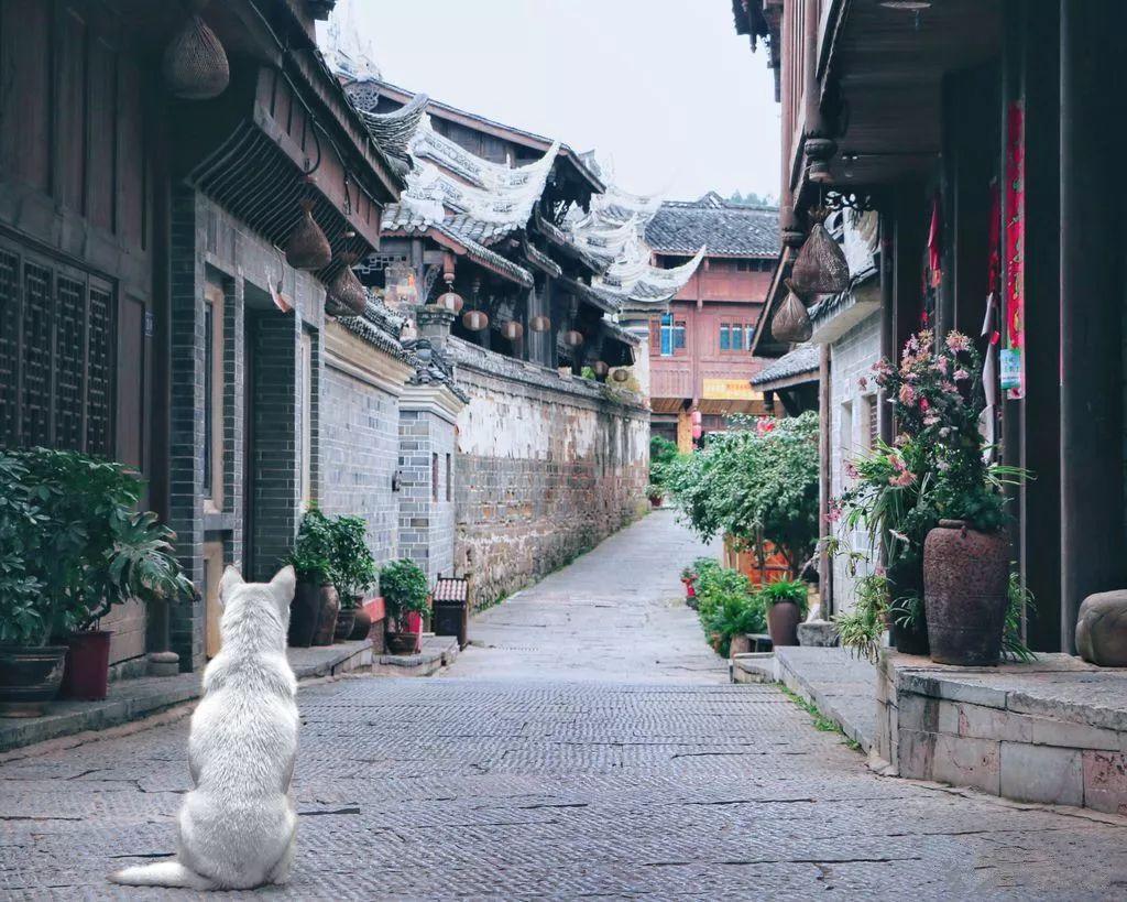 铜川,电动颈椎按摩器